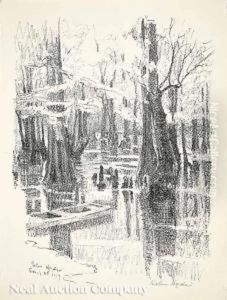Cypress Swamp - view 1