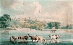 Richmond Hill from Petersham Meadows by Robert Cleveley