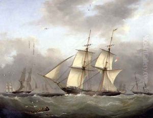H.M. Brig Daring by Nicholas Condy