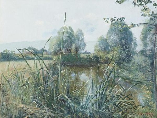 Idyllische Landschaft Mit Teich. - view 1