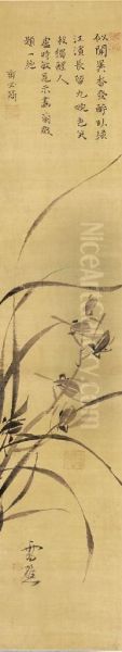 Orchid - view 1