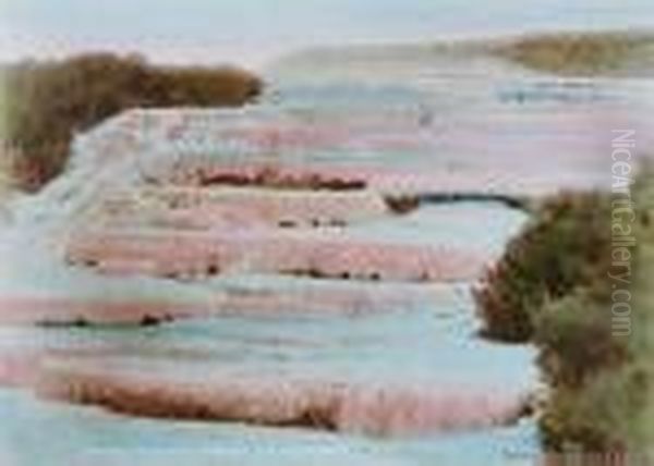 Pink Terraces - view 1