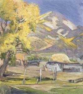 Southwestern Ranch