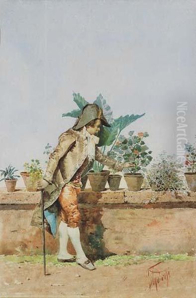 Nobiluomo - view 1