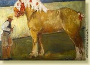 Cheval De Concours Cheval De Concours