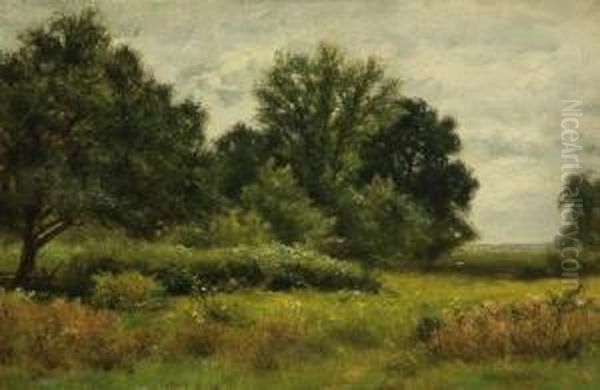 Summer Meadow - view 1