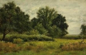 Summer Meadow Summer Meadow