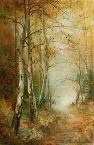 Burnham Beeches; The Path To The Lake - view 1