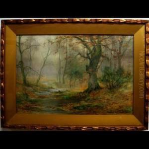 Woodland Study