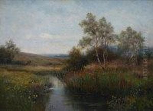 Rural River Landscape With Mallard Rising
