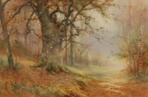 Woodland Clearing Titled "mist And Mellow Fruitfulness"
