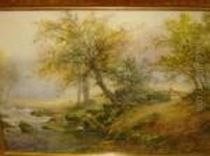 A Devonshire Trout Stream