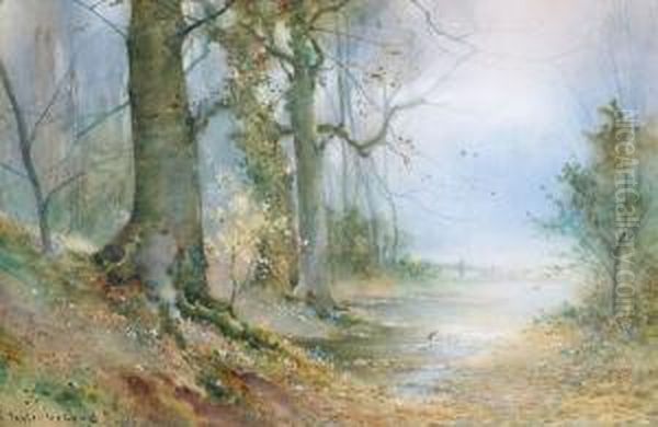 Early Springtime At Burnham - view 1