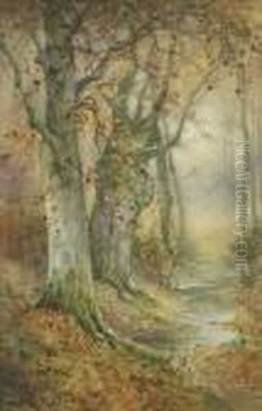 Autumn, Burnham Beeches - view 1