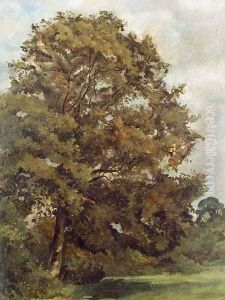 Study of an Ash Tree, c.1851 by Lionel Constable
