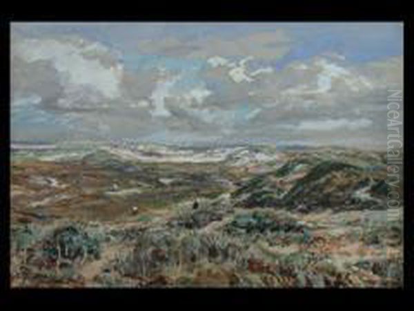 Dunenlandschaft - view 1
