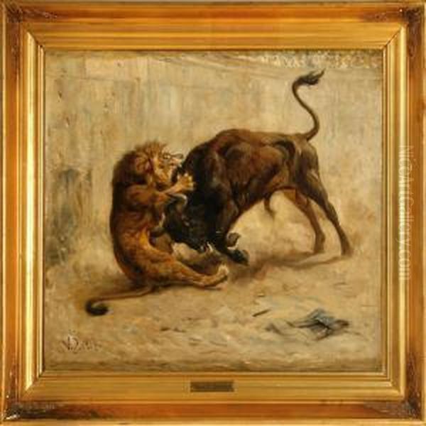 A Lion And Bull Fighting - view 1