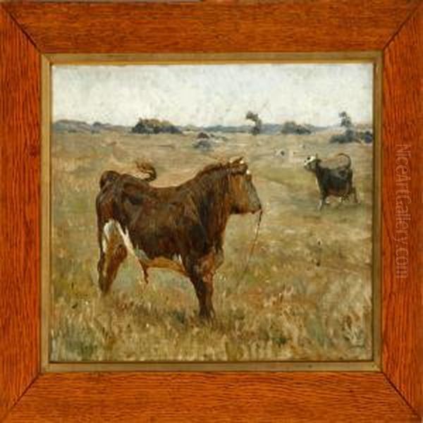 A Bull And A Horseon A Field - view 1