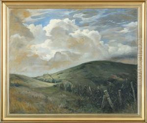 Hilly Landscape - view 1
