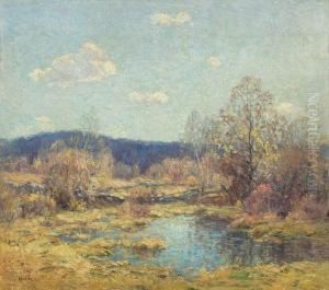 Connecticut Woods