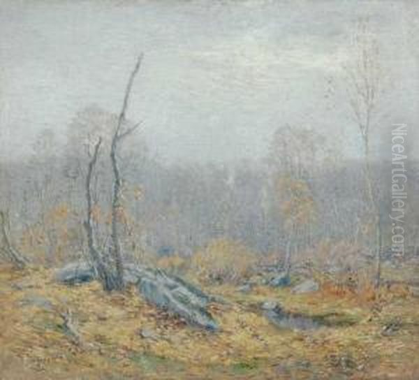 ''wooded Grove'' - view 1