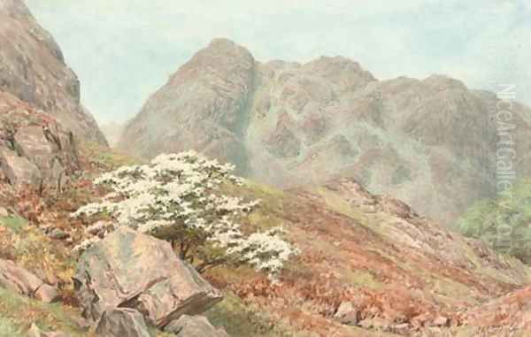 Raven Crag, Yewdale, Coniston - view 1