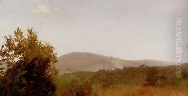 A Panoramic Landscape View - view 1