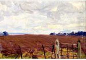A Ploughed Field, Belvoir Park
