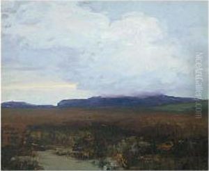 Clouds Over Bogland
