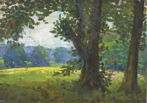 A Cornfield