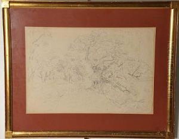 Arboleda Junto Al Rio - view 1