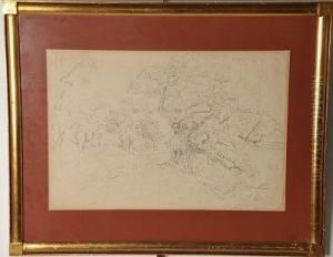 Arboleda Junto Al Rio. Lapiz Sobre Papel. Firmado. Enmarcado