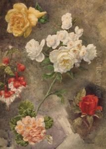 Rosas by Leandro Izaguirre