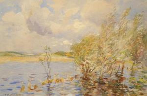 Wind Swept Yorkshire Landscape, With Trees And A Pond In The Foreground - view 1