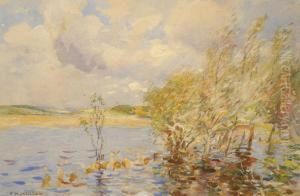 Wind Swept Yorkshire Landscape, With Trees And A Pond In The Foreground