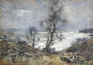 Kettlenest, Runswick Bay