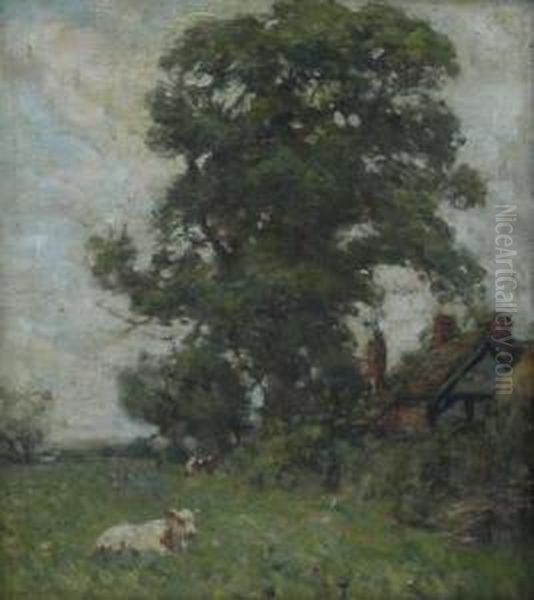 Calf In Pastoral Setting - view 1