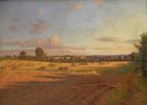 Harvest Field Harvest Field