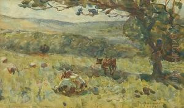 Cattle Grazing In A Pasture - view 1