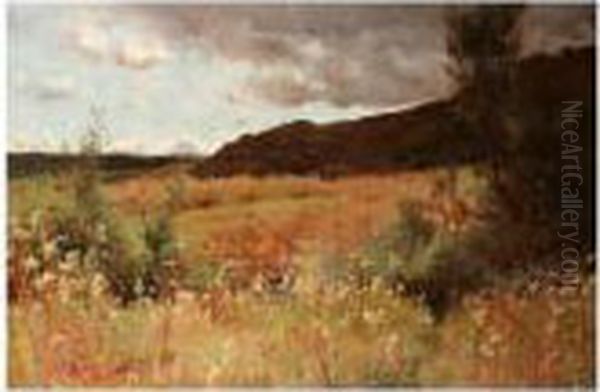 Moorland Landscape - view 1