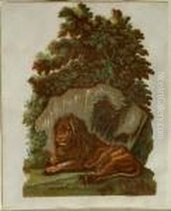 The Lion 1754 by John Baptist Jackson