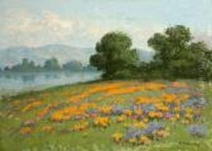 Poppies And Lupine In A California Landscape by William Jackson