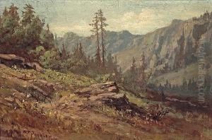 On The Road From Summit To Soda Springs by William Jackson