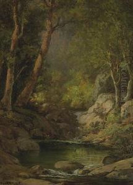Mountain Stream - view 1