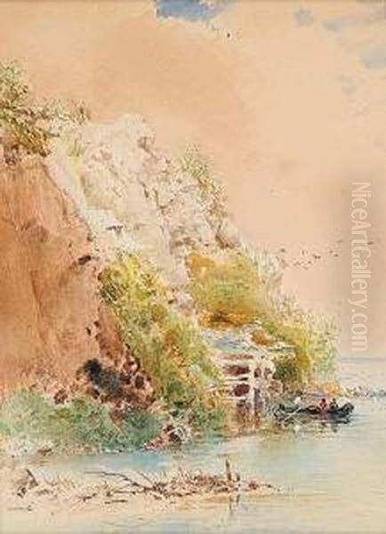 Shore Brush - view 1