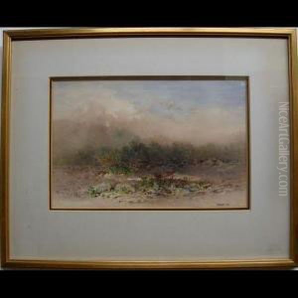 Landscape Study - view 1