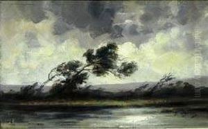 bord De Riviere Par Grand Vent bord De Riviere Par Grand Vent