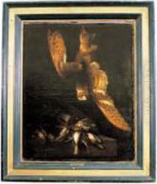 Nature Morte Aux Oiseaux Et Chouette Effraie - view 1