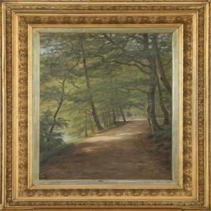Forest Scenery Forest Scenery