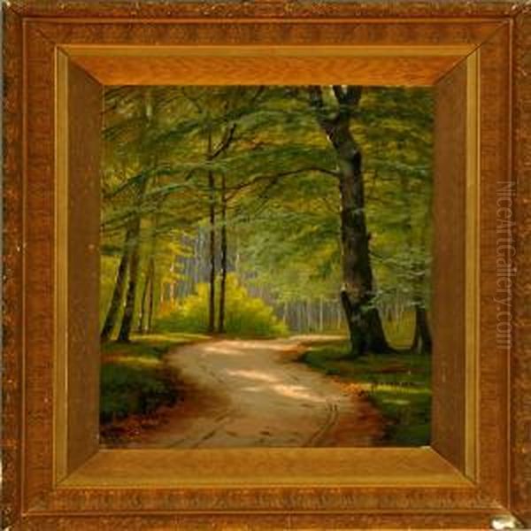 A Road Through A Wood At Springtime - view 1